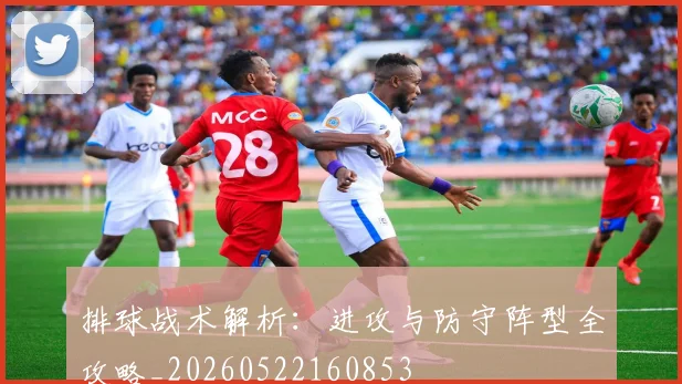 排球战术解析：进攻与防守阵型全攻略_20260522160853