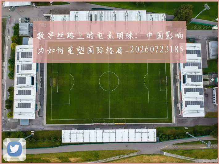 数字丝路上的电竞明珠:中国影响力如何重塑国际格局_20260723185207