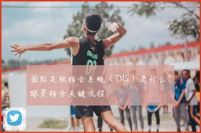国际足联转会系统（TMS）是什么？球员转会关键流程