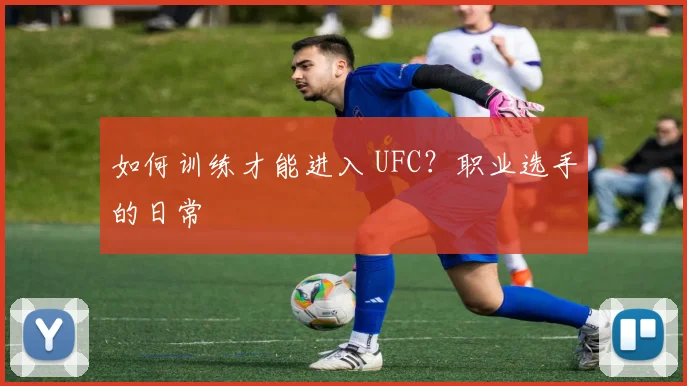 如何训练才能进入 UFC？职业选手的日常