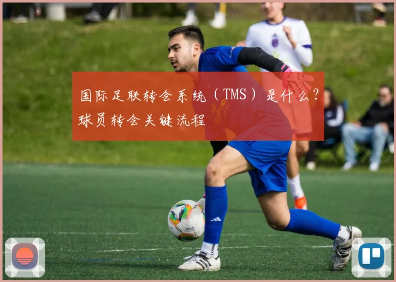 国际足联转会系统(TMS)是什么?球员转会关键流程