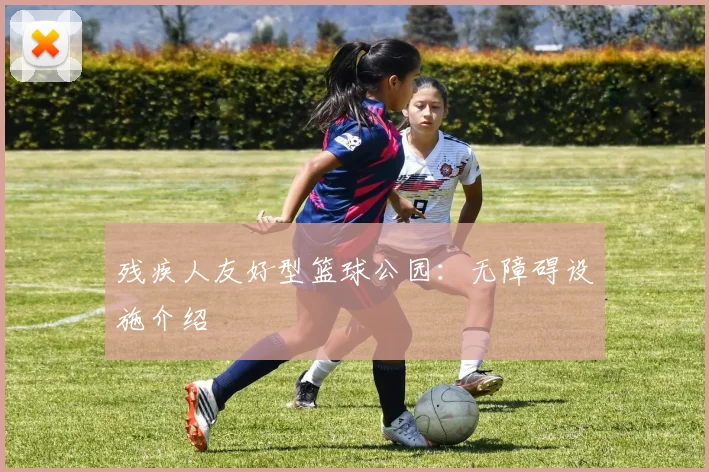 残疾人友好型篮球公园:无障碍设施介绍