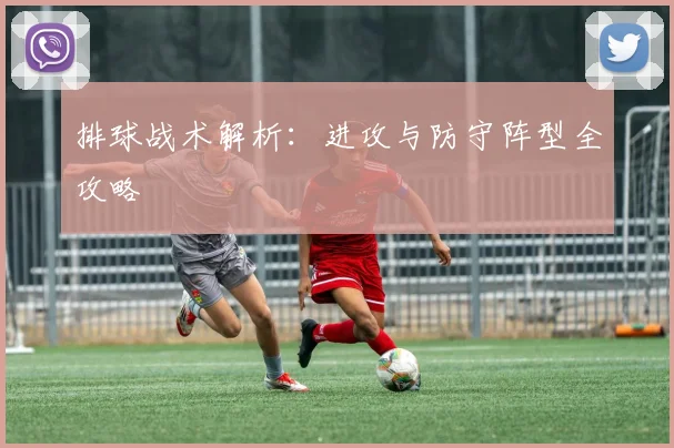 排球战术解析：进攻与防守阵型全攻略